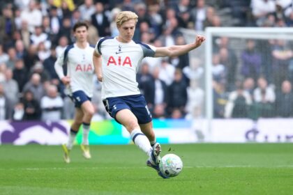 tottenham-bergvall